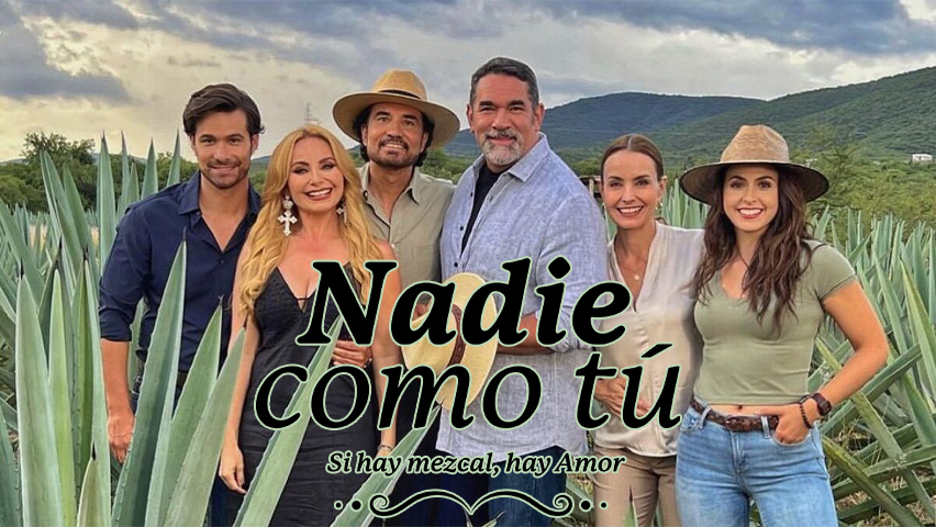 Nadie Como Tu Capitulo 76 Completo En HD